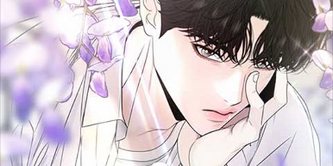 경계선 [네이버]